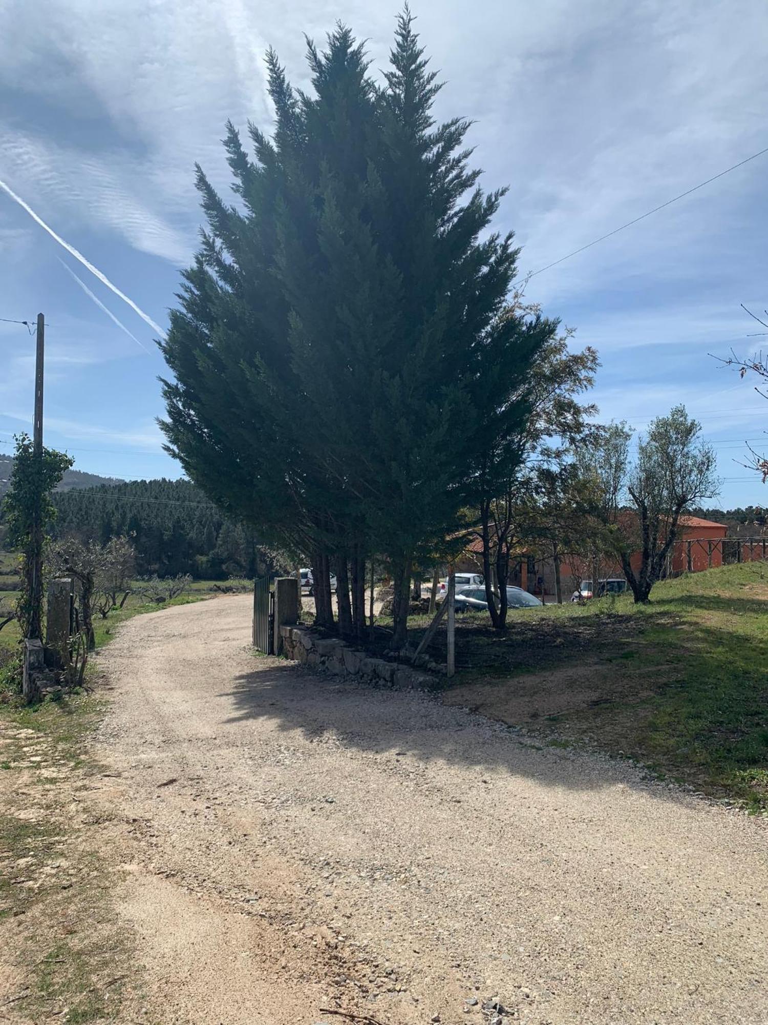 Quinta Dos Cedros L * Covilha